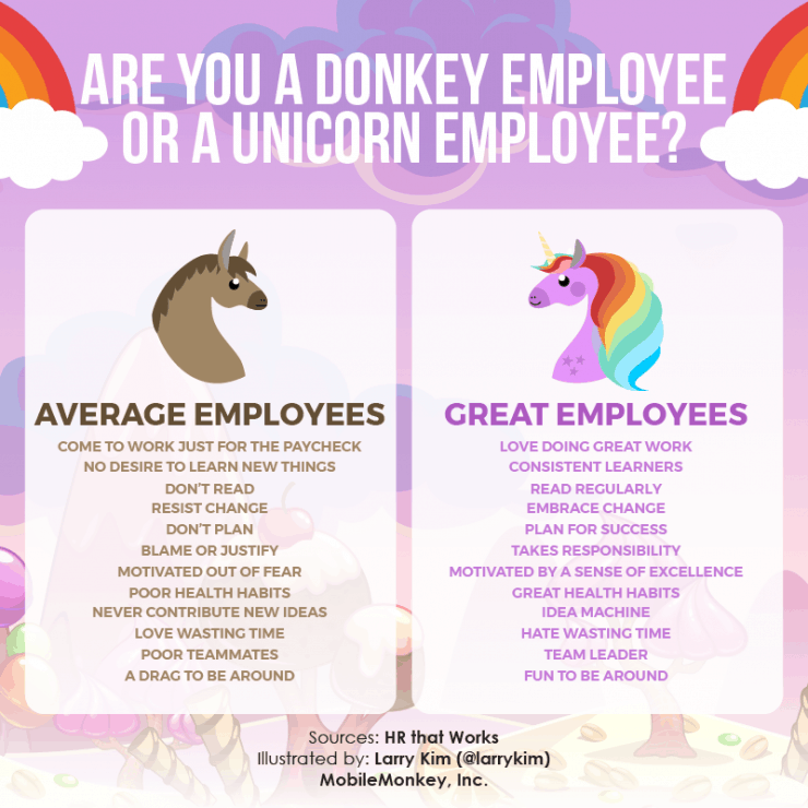 Two Types oaf Employees Are you a Donkey or Unicorn