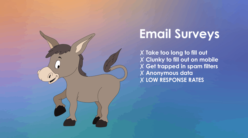 email survey donkeys
