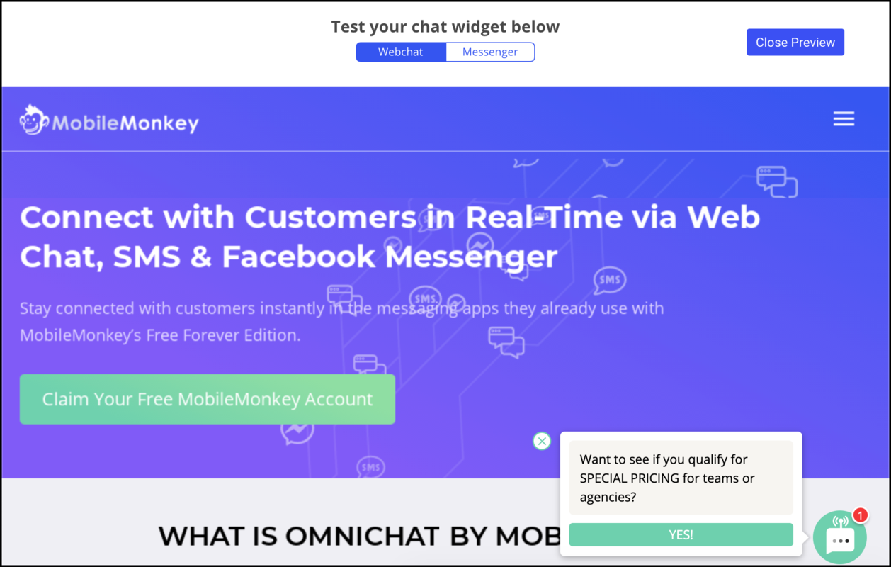 customer chat widget preview tool