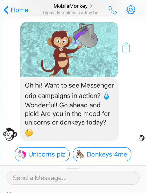 facebook chatbot drip campaign