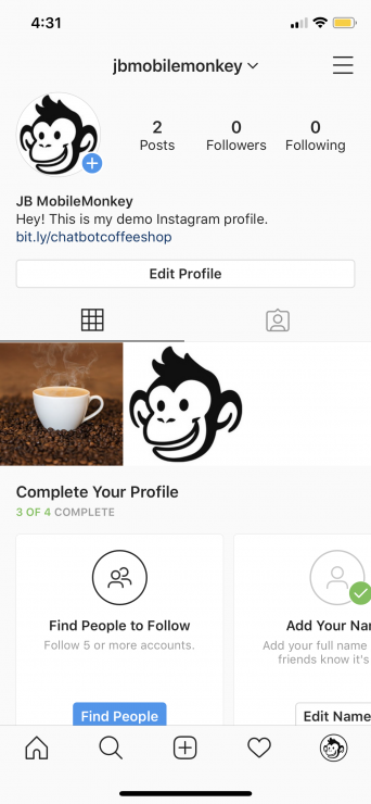 messenger chatbot for instagram: insta profile with link in bio