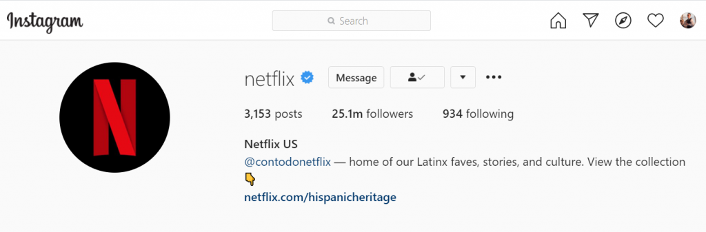 best Instagram business accounts: Netflix