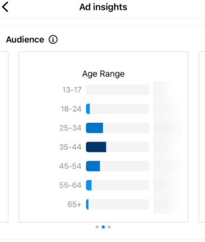 ad insights audience