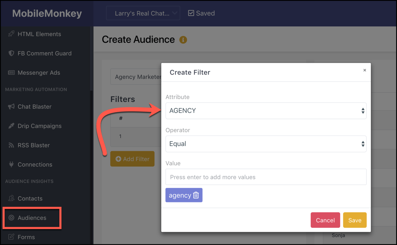 create custom audience