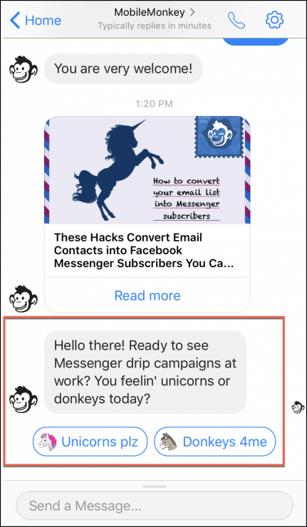 unicorn or donkey drip campaign