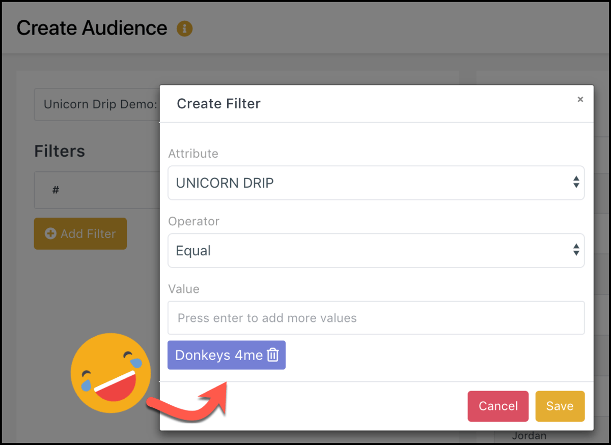 example audience value donkeys 4me