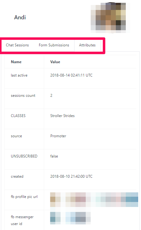 chat sessions form submissions key attributes for each contact