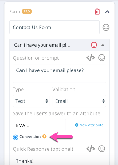 sample conversion form setup