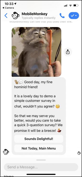 Chatbot customer survey