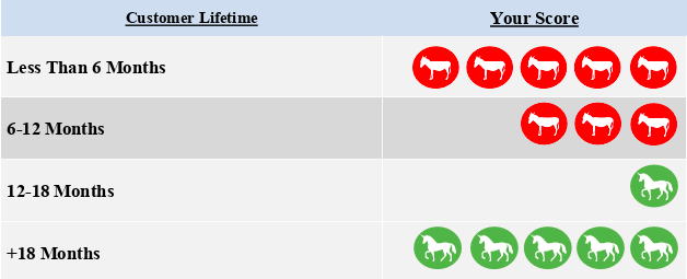 A chart showing good and bad customer lifetime. The worst customer lifetime is less than six months while the best customer lifetime is over eighteen months. 