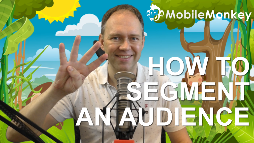 How to segment an audience