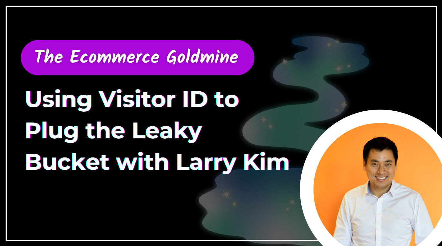 Using Visitor ID to Plug the Leaky Bucket with Larry Kim